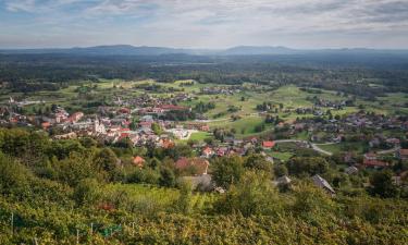 Ferieboliger i Semič