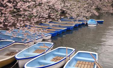 Hoteluri în Kawagoe