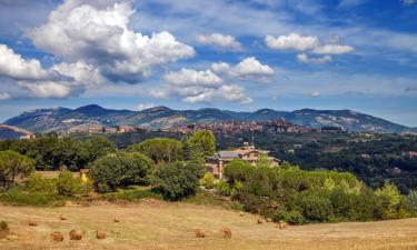 Hoteles económicos en Castel Madama