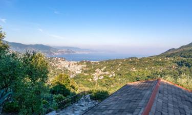 Smeštaji sa kuhinjom u gradu San Lorenzo della Costa