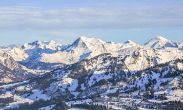 Hotels with Parking in Oberried