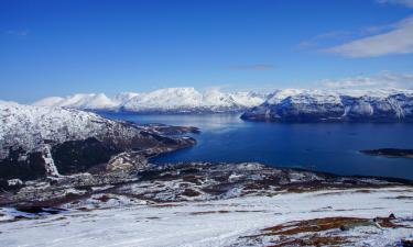 Hoteles con parking en Årøybukta