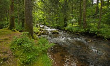 Obiekty na wynajem sezonowy w mieście Le Val-dʼAjol