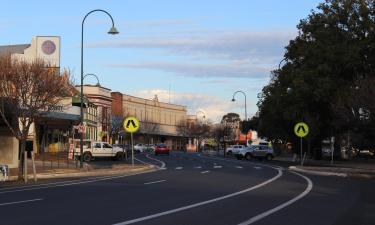 Apartments in Wellington