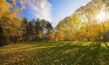 Parkolóval rendelkező hotelek Achslachban