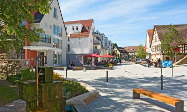 Hoteles con estacionamiento en Neckartenzlingen