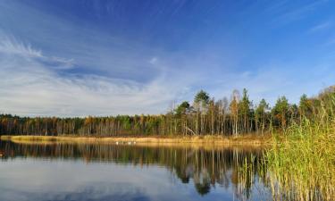 Viesnīcas pilsētā Wierzchowiska