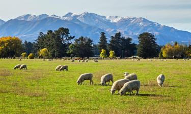 Viesnīcas pilsētā Mount Hutt