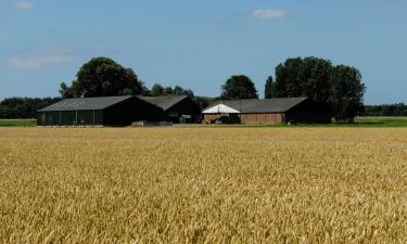 Ferienunterkünfte in Noordgouwe