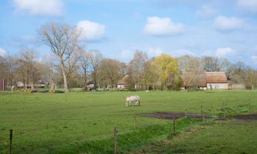 Hotels mit Parkplatz in Wedde