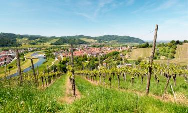 Guest Houses in Gengenbach