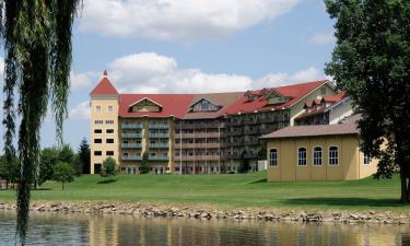 Hoteles con piscina en Birch Run