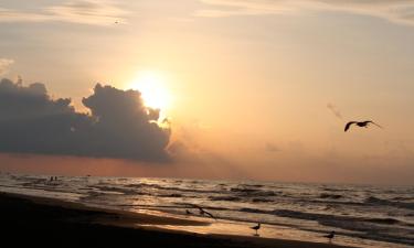 Cabañas en Bacliff