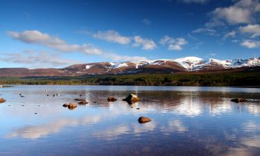 Cabins in Aviemore