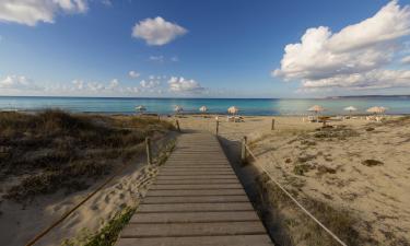 Allotjaments amb cuina a Es Arenals