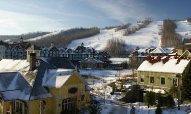 Chalets de montaña en Blue Mountains