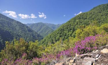 Alquileres vacacionales en Sellaño