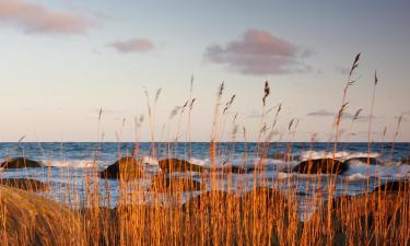 Vacation Rentals in Uuemõisa