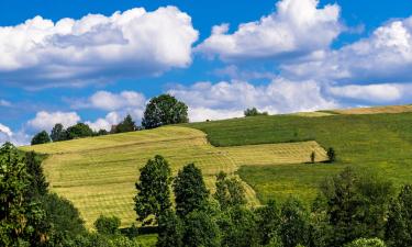 Locations de vacances à Leśnica