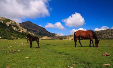 Allotjaments vacacionals a Bains de Guagno