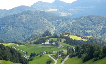 Hotel con parcheggio a Spodnja Sorica