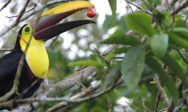 Hoteller i Turrialba