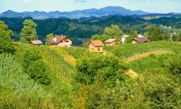 أماكن عطلات للإيجار في Zagorje