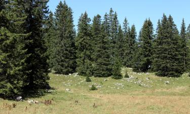 Hótel með bílastæði í Villard-Saint-Sauveur