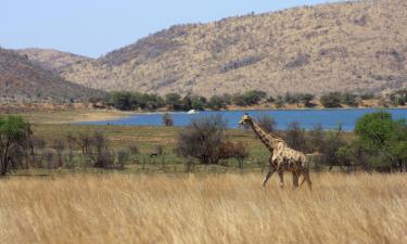 Hotel con piscina a Pilanesberg