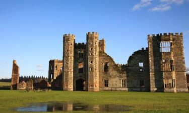 Hoteles que admiten mascotas en Midhurst