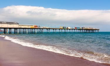 Pet-Friendly Hotels in Teignmouth