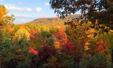 Hoteles en Tannersville