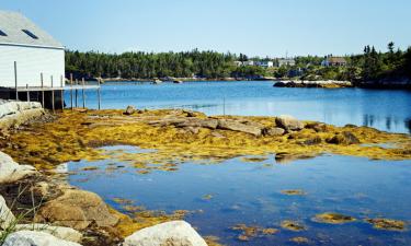 Hoteluri în Port Hawkesbury