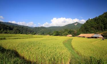 Bed & breakfast σε Mae Suai