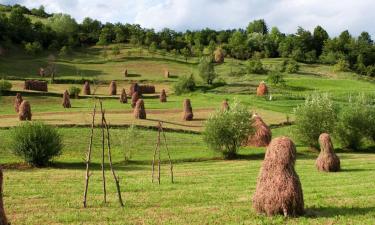 Hotels in Poienile Izei