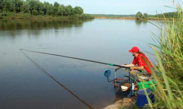 Alquileres temporarios en Mooslargue