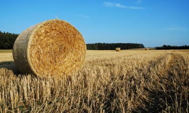 Готелі з парковкою у місті Графінг