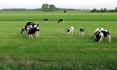 Ferienunterkünfte in Koekelare