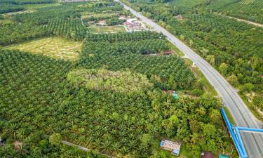 Cottages in Pantai Remis