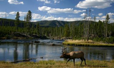 Hotels met Parkeren in Wapiti