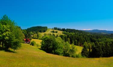 Hôtels à Ustroń