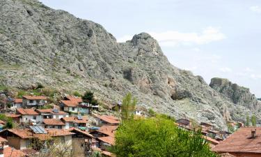 Hotels in Tokat