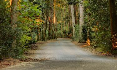 Moteles en Blackwater