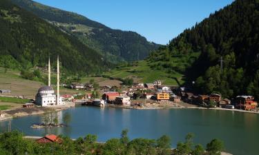 Hoteles en Uzungöl