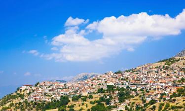 Guest Houses in Arachova