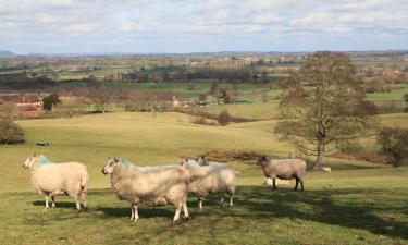 Alquileres vacacionales en Pulford