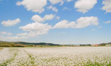 Allotjaments vacacionals a Albons