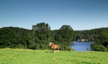 Готелі з парковкою у місті Bellevaux