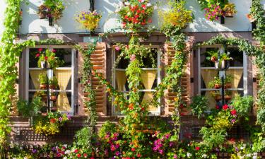 Hoteles con estacionamiento en Ensisheim