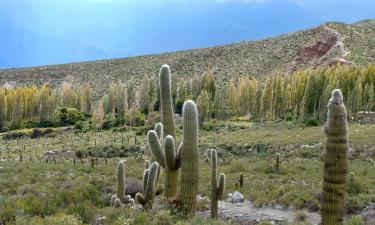 Chicoana'daki otoparklar